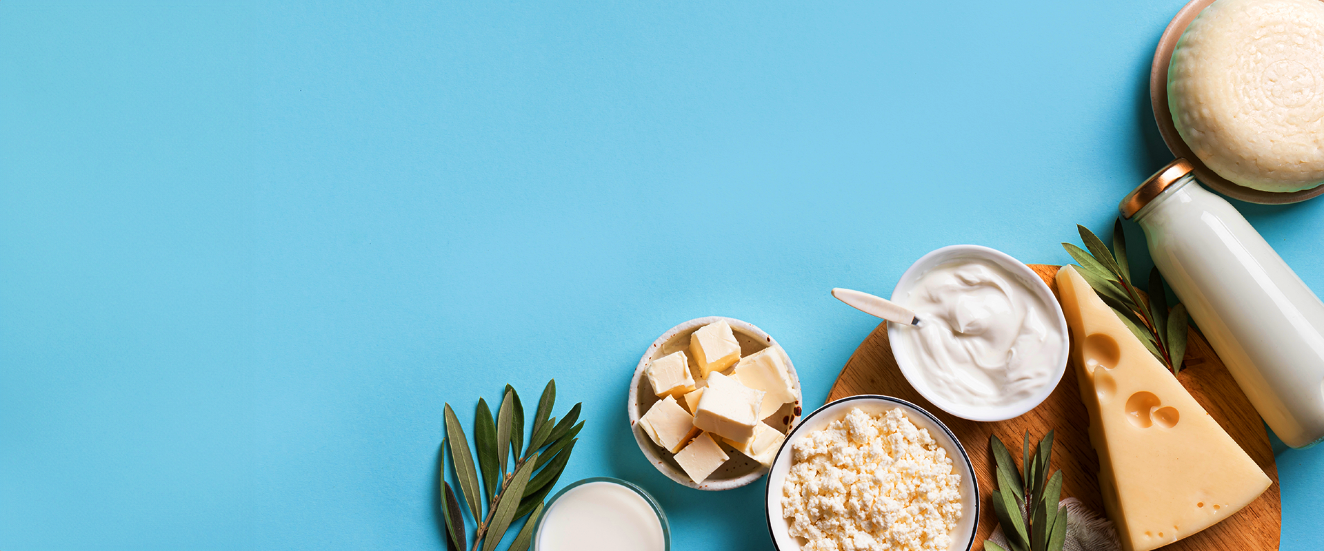 Imagem ilustração para página 14_alimentos_com_lactose