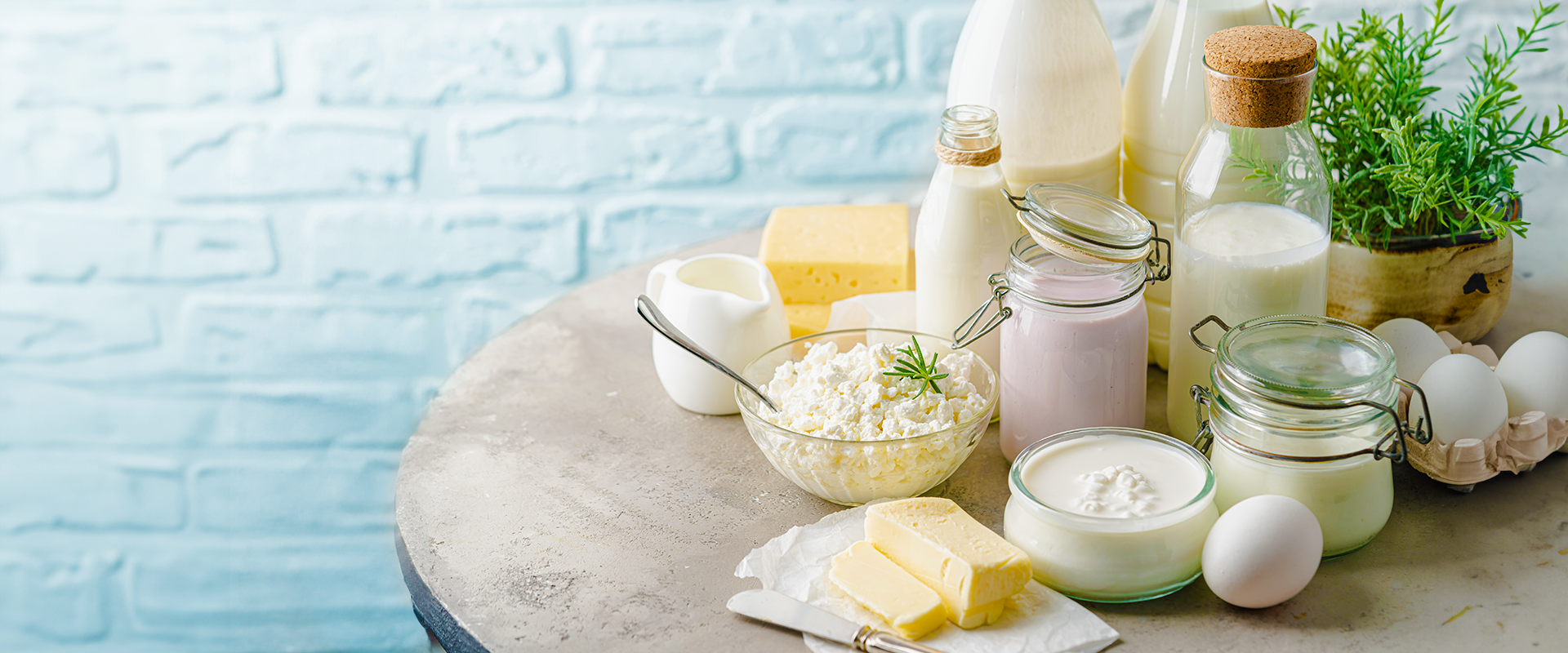 Imagem ilustração para página 17_alimentos_mais_lactose
